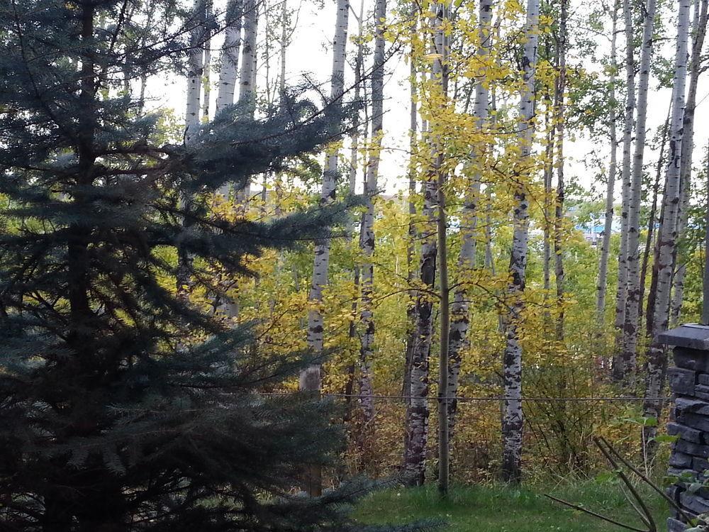 Pinnacle Inn & Suites Aspen YYC Exteriör bild